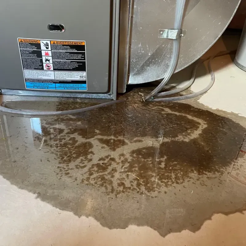 Appliance Leak Cleanup in Allendale, CA